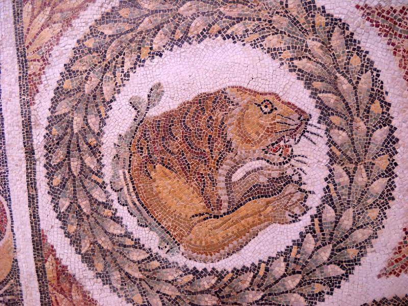 BARDO 00 (15).jpg